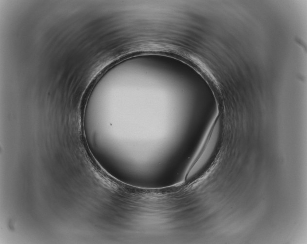 X0000097290837200802151413