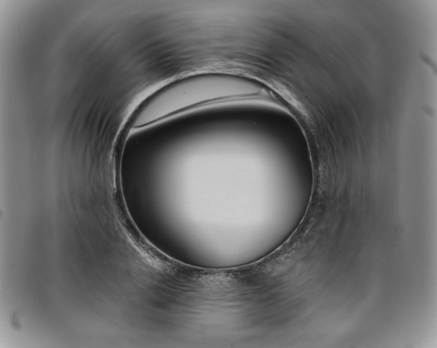 X0000097290838200802151413
