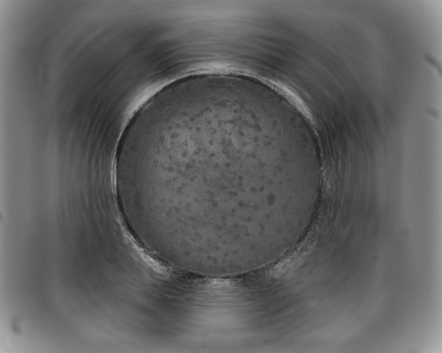 X0000097290839200802151413