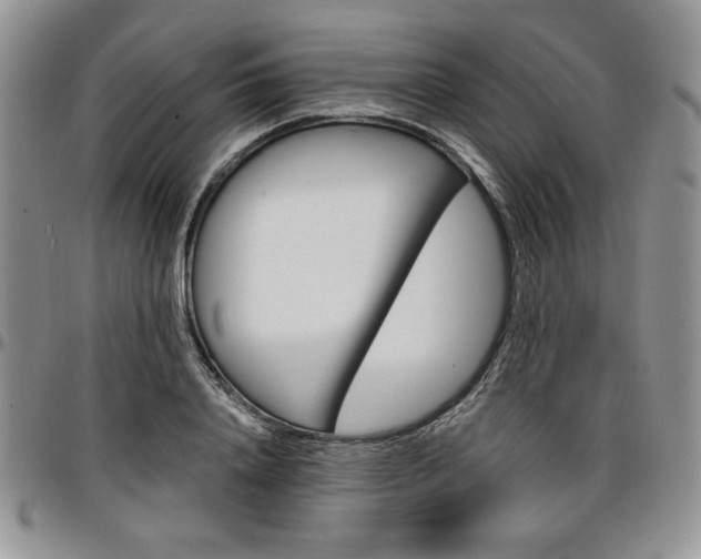 X0000097290840200802151413