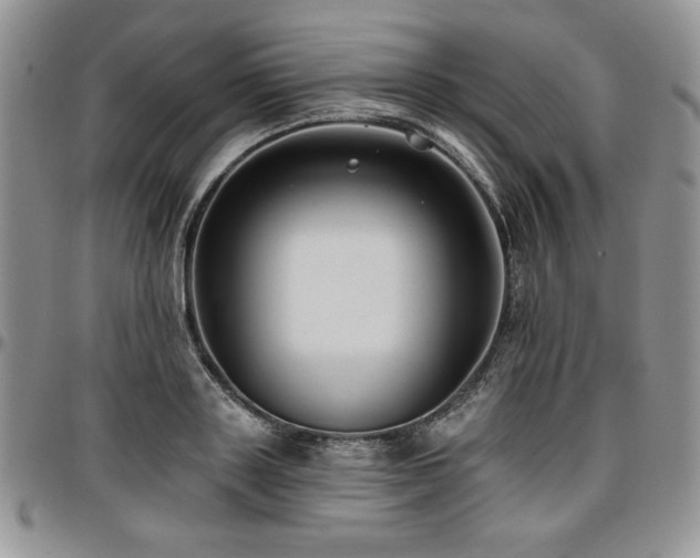 X0000097290843200802151413