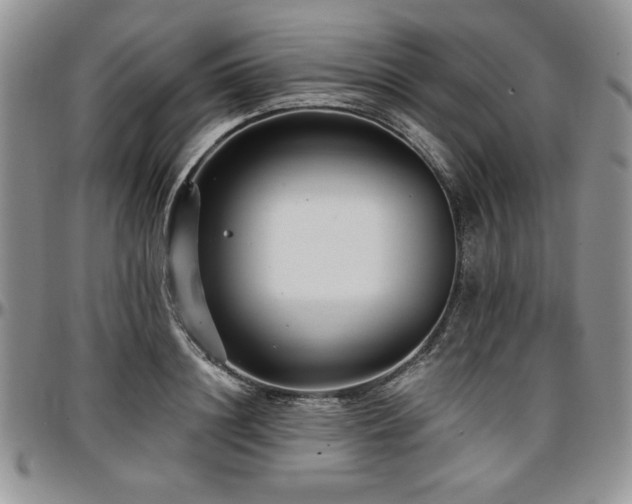 X0000097290844200802151413
