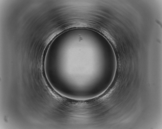X0000097290845200802151413