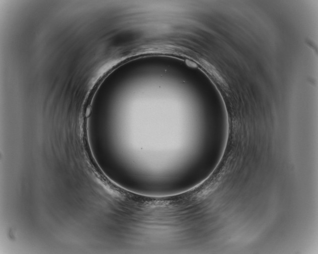 X0000097290846200802151413