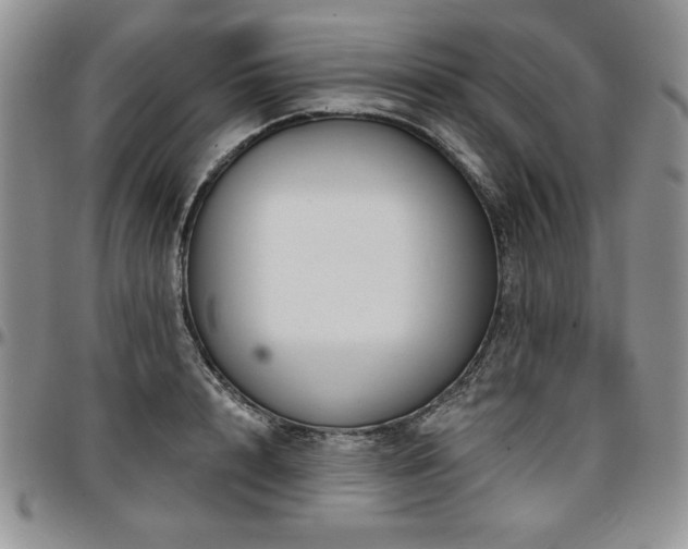 X0000097290848200802151413
