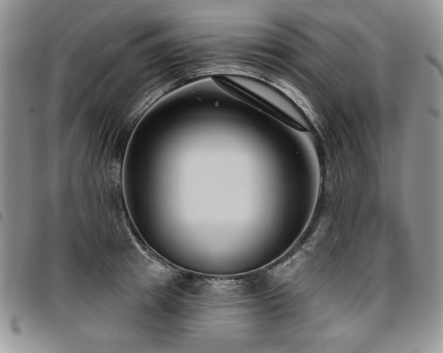 X0000097290849200802151413