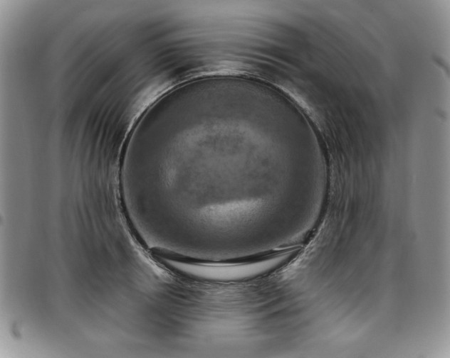 X0000097290850200802151413