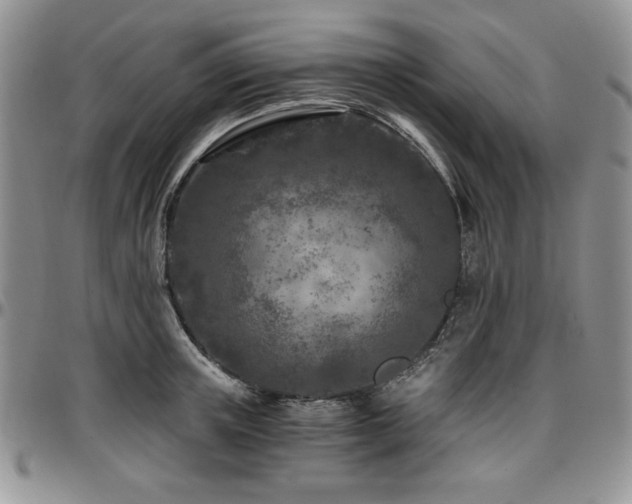 X0000097290851200802151413