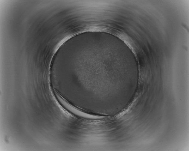 X0000097290853200802151413