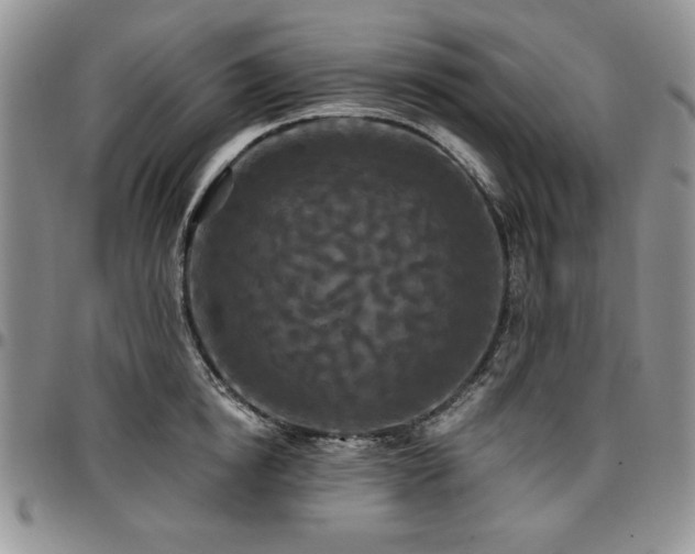 X0000097290854200802151413