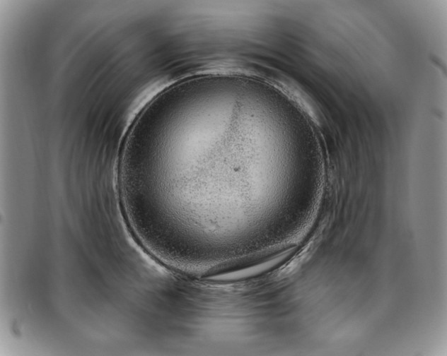 X0000097290855200802151413