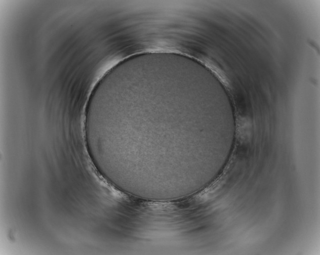 X0000097290856200802151413