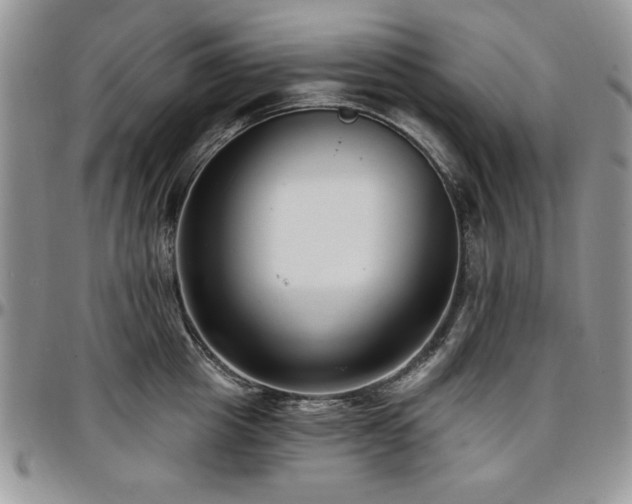 X0000097290857200802151413