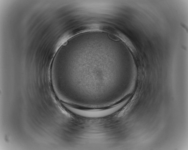X0000097290858200802151413