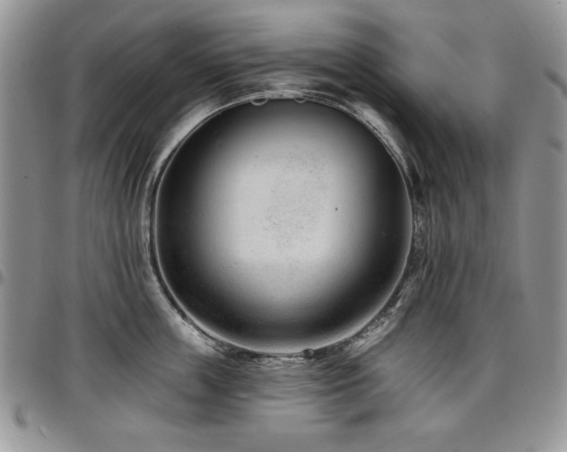 X0000097290859200802151413