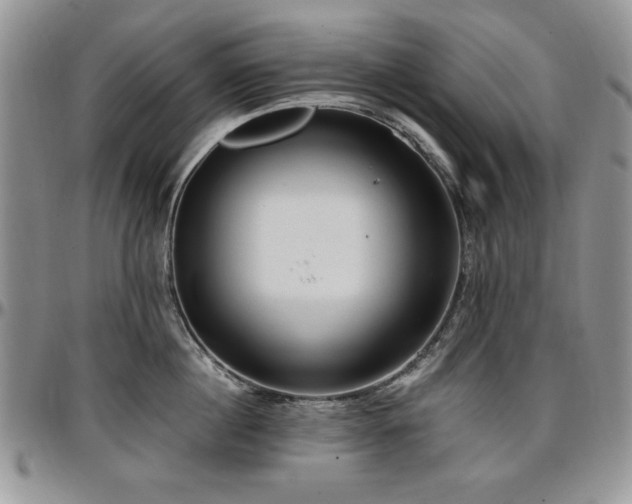 X0000097290860200802151413