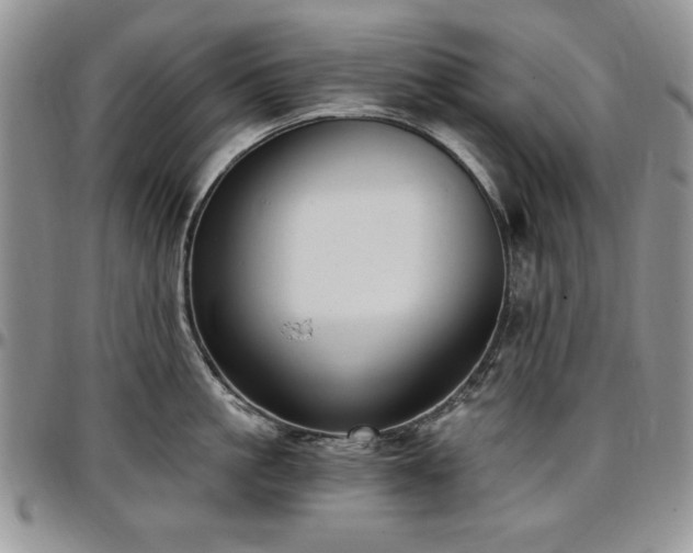 X0000097290861200802151413