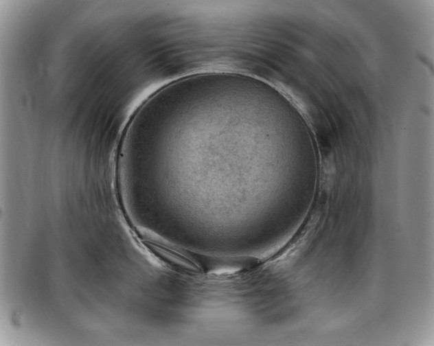 X0000097290862200802151413