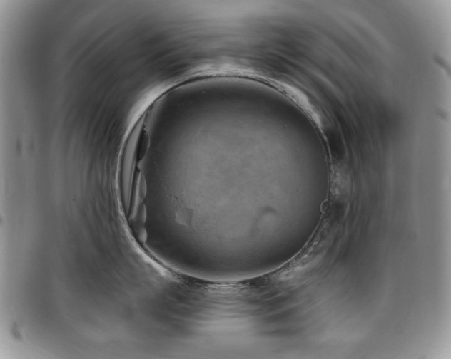 X0000097290863200802151413