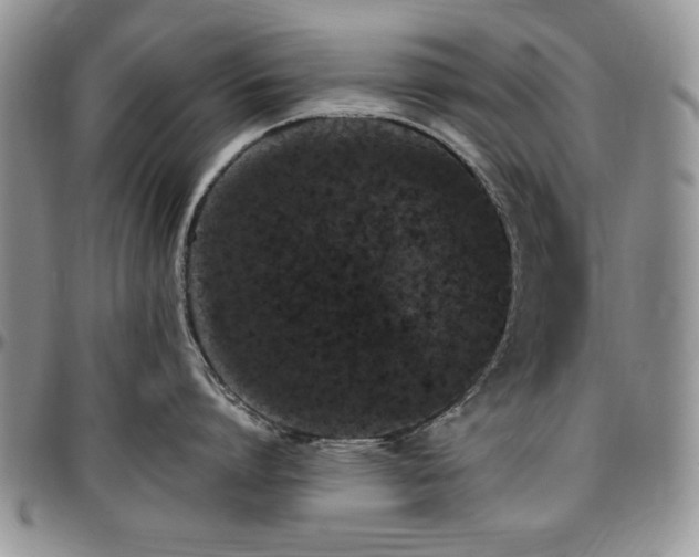 X0000097290864200802151413