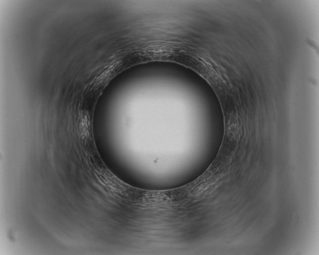 X0000097290866200802151413