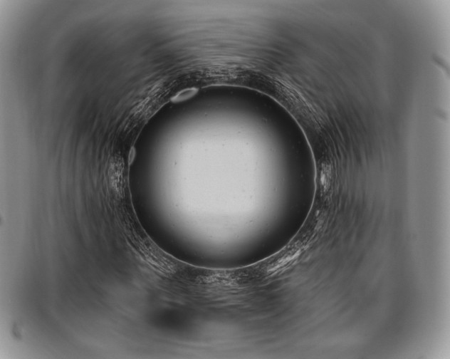 X0000097290867200802151413
