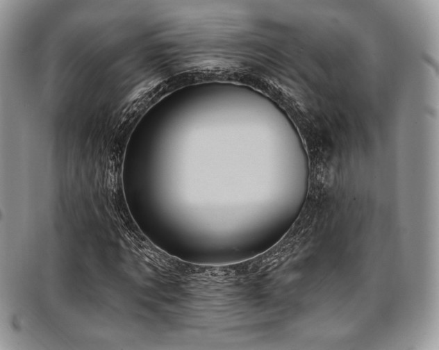 X0000097290869200802151413
