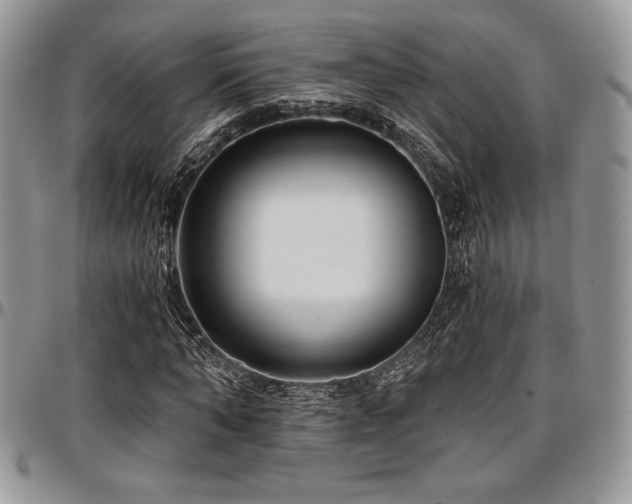 X0000097290870200802151413