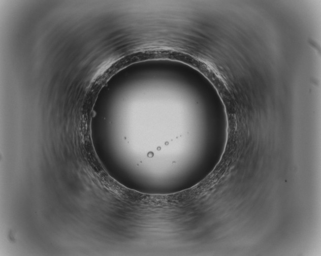 X0000097290871200802151413