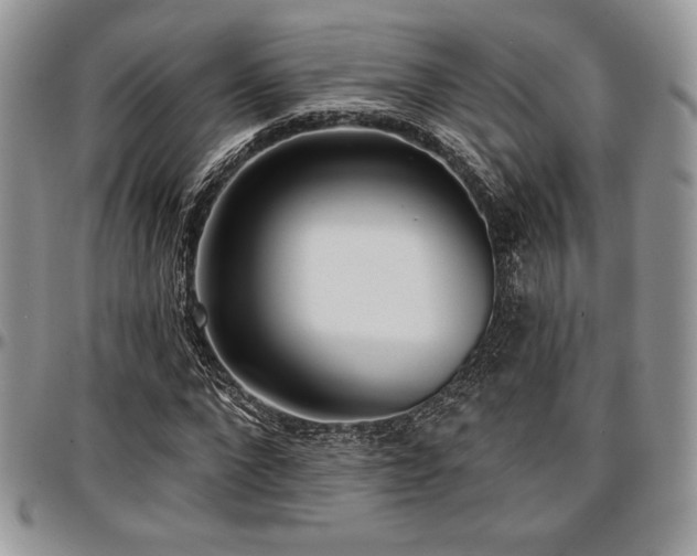 X0000097290872200802151413