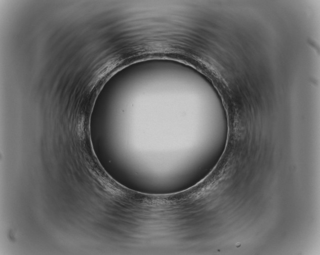 X0000097290873200802151412