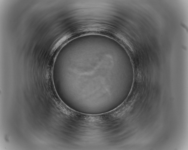 X0000097290874200802151412