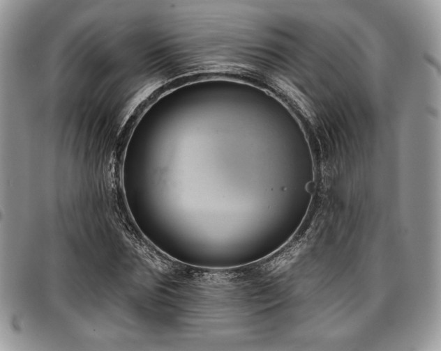 X0000097290875200802151412