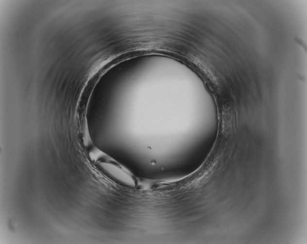 X0000097290876200802151412