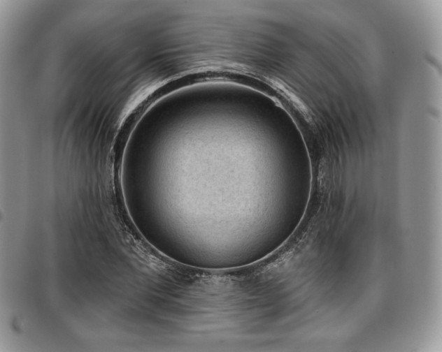X0000097290877200802151412