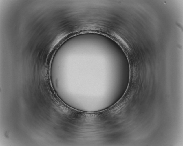 X0000097290878200802151412