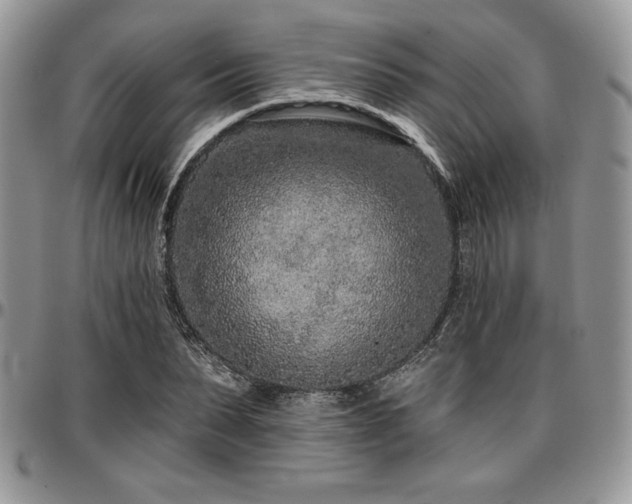 X0000097290879200802151412
