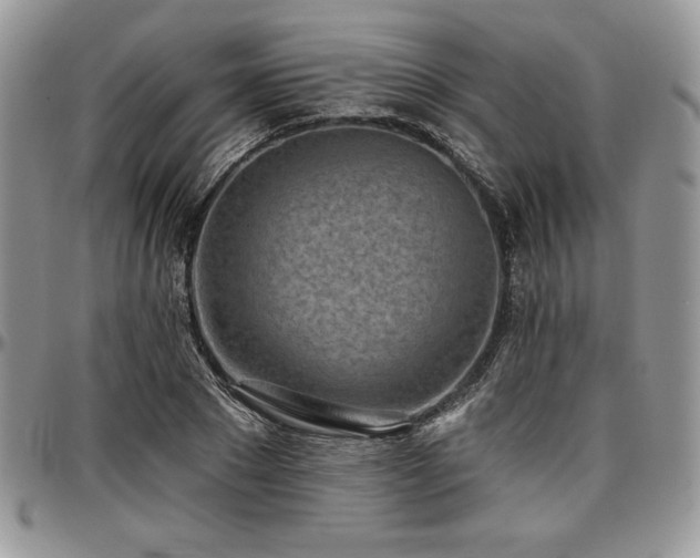 X0000097290881200802151412