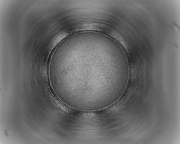 X0000097290882200802151412
