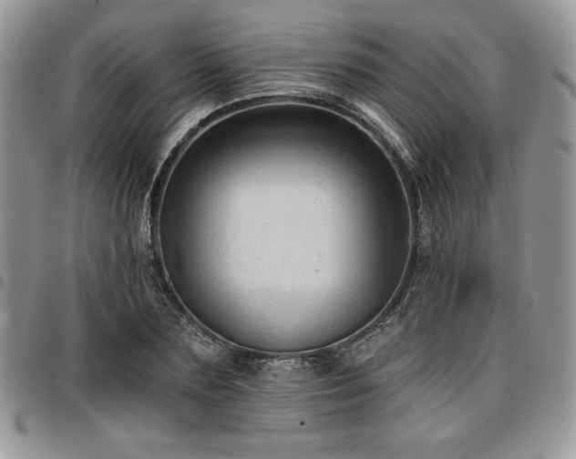 X0000097290883200802151412