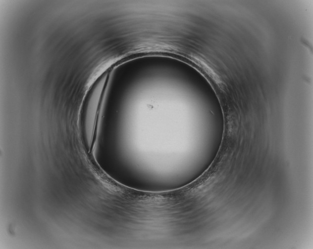 X0000097290885200802151412