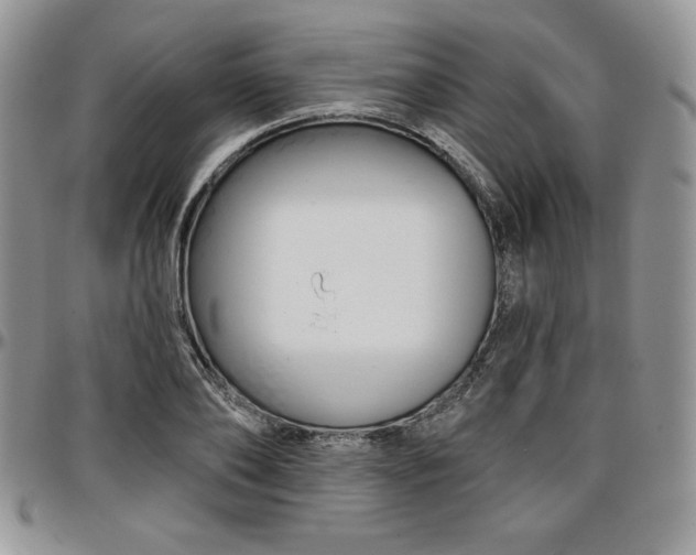 X0000097290886200802151412