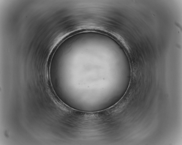 X0000097290887200802151412