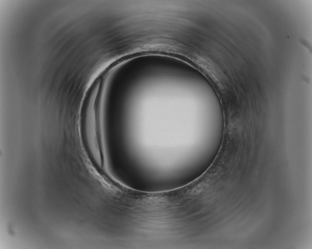 X0000097290888200802151412