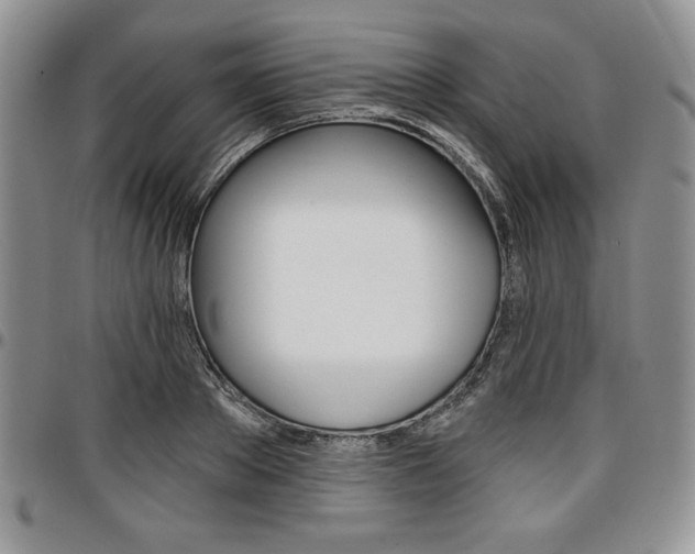 X0000097290889200802151412