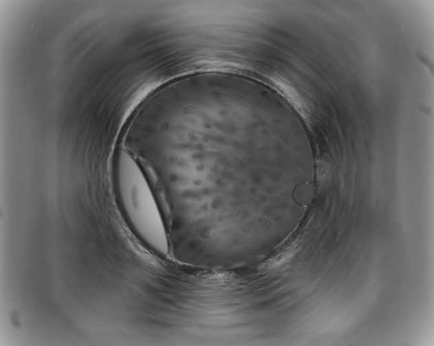 X0000097290891200802151412