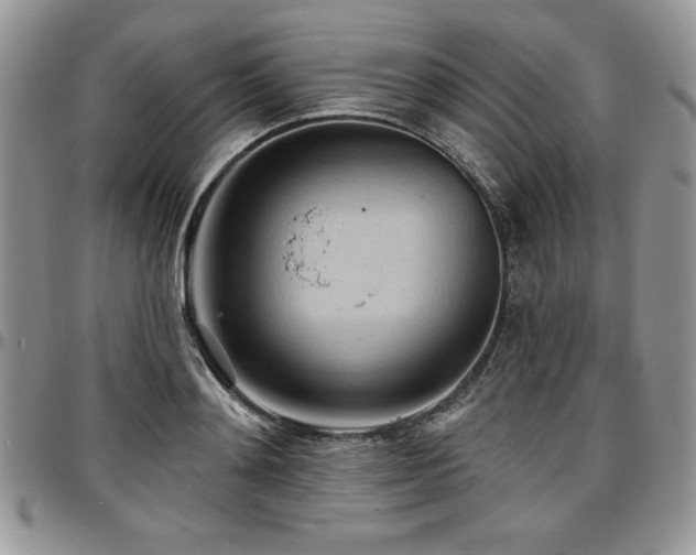 X0000097290892200802151412