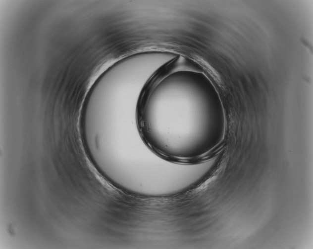 X0000097290893200802151412