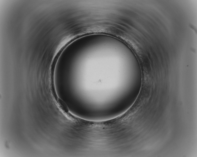 X0000097290894200802151412