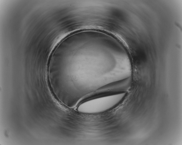 X0000097290895200802151412